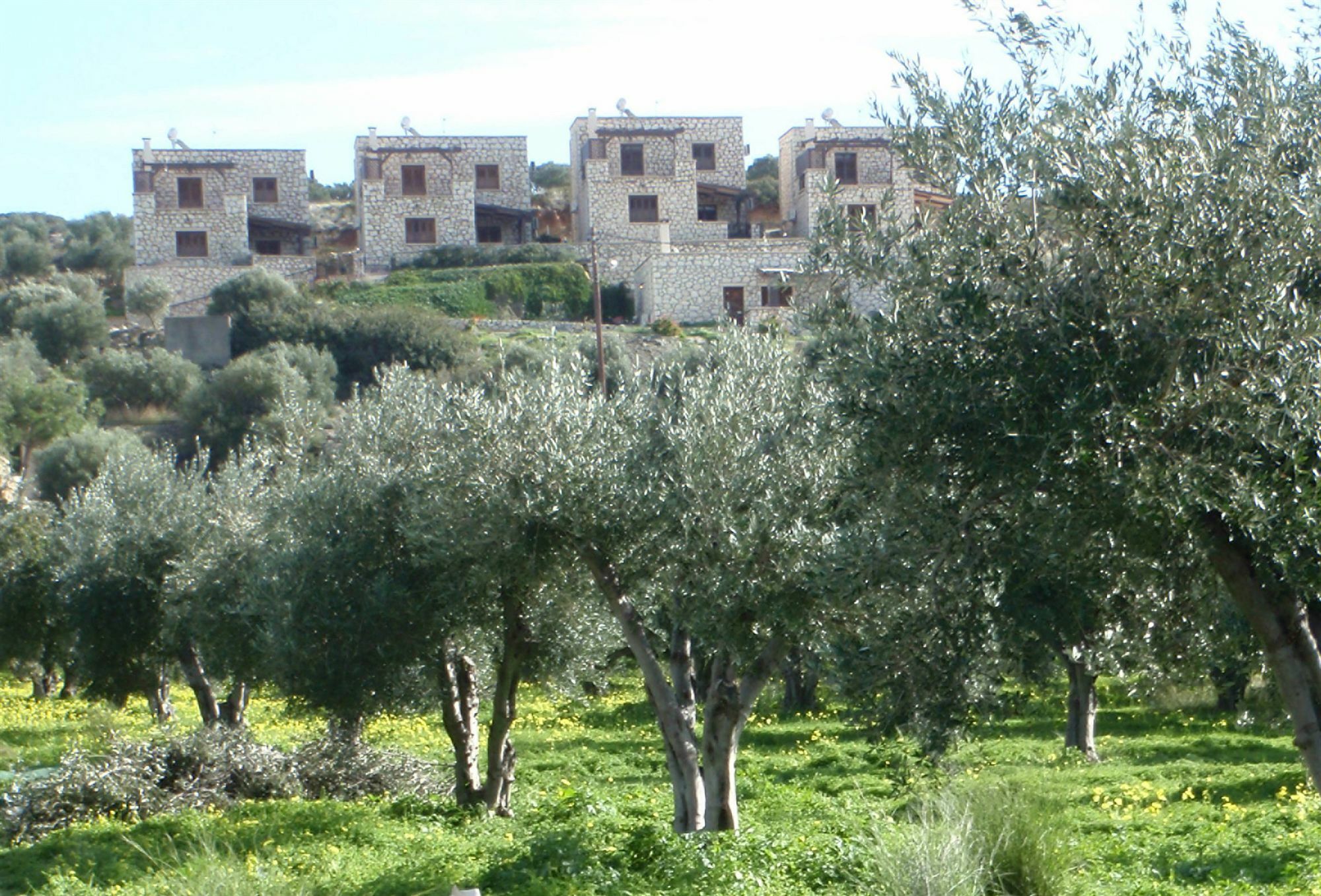 Ville Du Soleil - Exclusive Homes With Rustic Charm And Sensational Views Of The Mediterranean Sea Makrýgialos Eksteriør billede